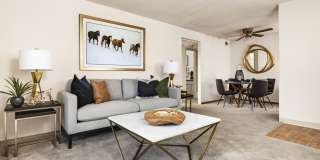 Willowstone Gallery 10