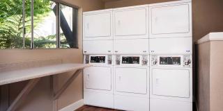 Elán Avante Apartment Homes Gallery 10