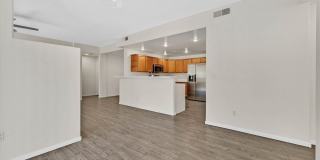 908 Domnus Lane Gallery 5