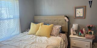 Large, updated 2 bed in a prime location in South Boston Gallery 7
