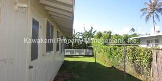 REDUCED rent until August 31!  Spacious, Single-Level Home on Large Lot in Desirable Niu Valley Gallery 4