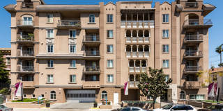 Lexington at Fedora Gallery 14