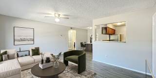 Millenium Cove Gallery 22