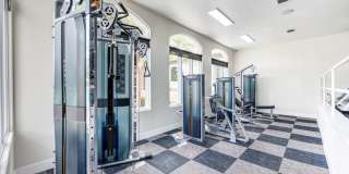 Monaco Park Gallery 13