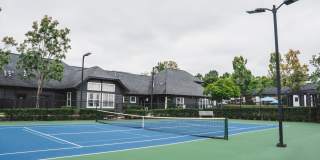 Alister Lake Lynn Gallery 17