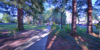 201 Yarborough Ln 201 Yarborough Ln Gallery 44