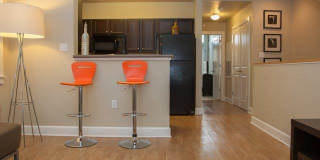 River Garden on St Andrew Gallery 4