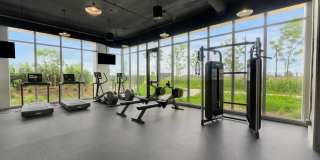 Allied Harbor Point Gallery 17