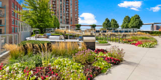 1001 South State Gallery 28