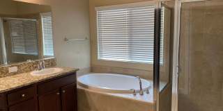 Coming Soon! Gallery 7