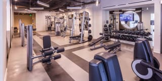 Museum Tower Gallery 8