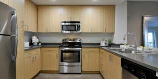 Domus on the Boulevard Gallery 1