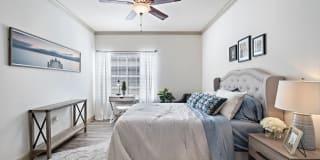 Rise at Elmside Gallery 6