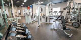 Legacy at Linden Park Gallery 42