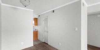 South Hill HP Gallery 11
