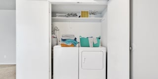 North Star Gallery 19