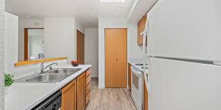 Bellevue One Condo Apartments Gallery 8