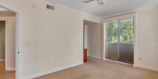 9013 Somerset Bay Lane Gallery 17