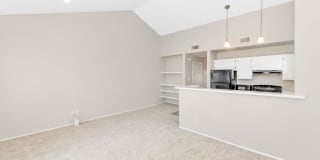 Lakeside Gallery 31