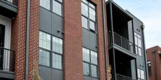 8 on the Park at GVX Gallery 19