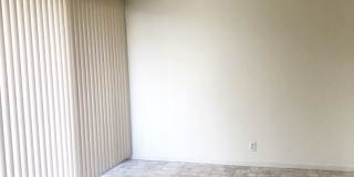 COMING SOON--This large 3 bedroom 2 bath apartment is in the heart of Gourmet Ghetto Gallery 11