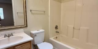 12118 ROYAL WOODS Drive Gallery 14