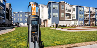 Inova Inova Gallery 19