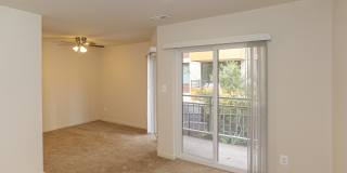 Geno Baroni Gallery 14