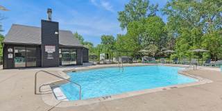 ReNew Woodland North and South Gallery 38