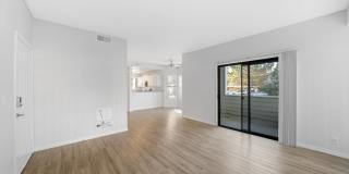 Bristle Pointe Gallery 22