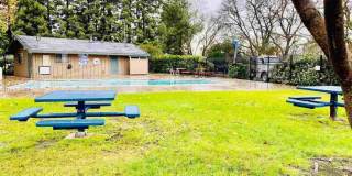 Pleasanton Laguna Vista 2 Bed / 1 bath, updated kitchen & bathroom, Two Year Lease required, Community Pool! Gallery 20