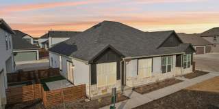 Canvas at Anna Gallery 30