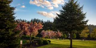 1 Bedroom | 1.5 Bathrooms | 2 Flexible Bonus Spaces | Luxury Riverstone Condo Gallery 16