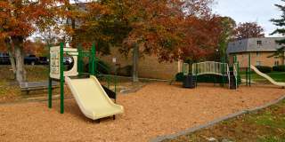 Crystal Springs Gallery 40