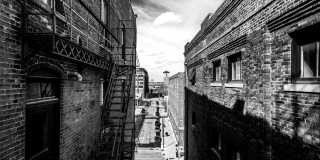 The Cannery Lofts Gallery 14