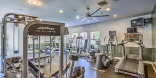 Mission Grove Park Gallery 25