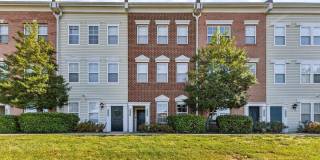 42393 GOLDENSEAL Square Gallery 1