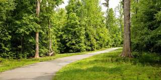 Clemmons Town Center Gallery 28