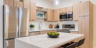 Talcott at Windermere Gallery 3