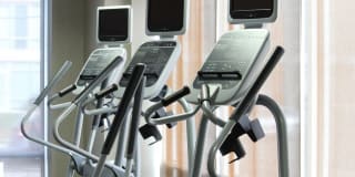 Thomas Court Gallery 15