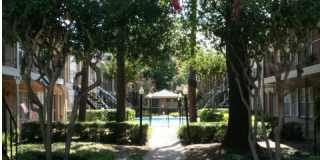 Memorial City Apartments Gallery 6
