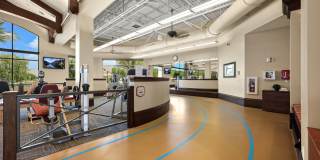 80586 Camino Santa Juliana Gallery 42