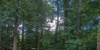 8634 Cromwell Dr Gallery 18