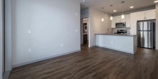 Savanna Nine Mile Gallery 78