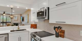 3098 Rue Dorleans Gallery 10
