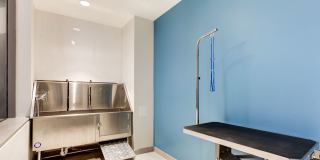 The Oxford Gallery 32