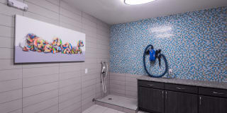 Hartley Flats Gallery 24