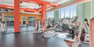 Blue and Lime Gallery 17