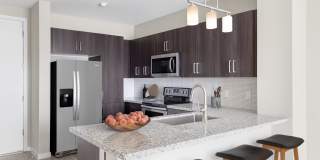 The Tessera Gallery 1