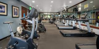 Enclave Vista Ridge Gallery 22